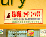 ԡɼۡ᡼